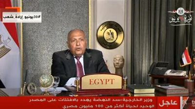 شكري يحذر من نشوب صراع إقليمي بسبب تعنت أثيوبيا في قضية سد النهضة