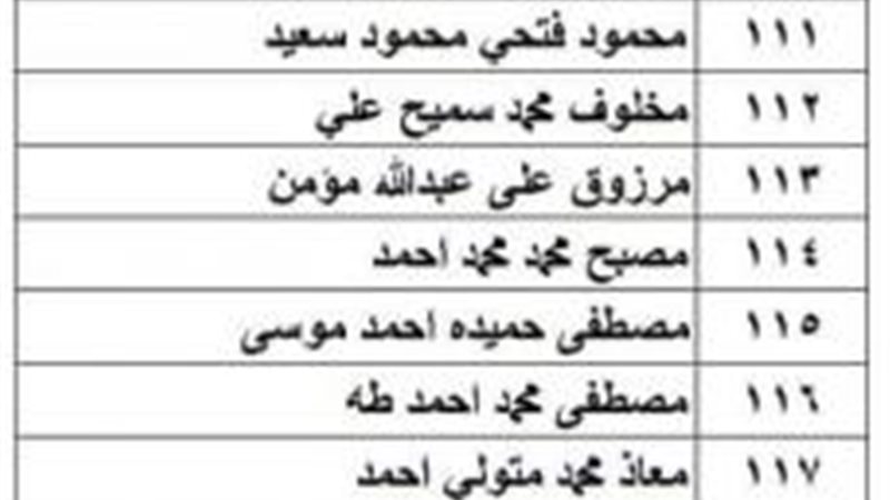 محمد سعفان وزير القوي