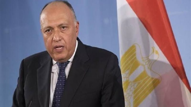 سامح شكري