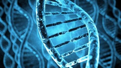 ما هي الأمراض التى تكشفها الاختبارات الجينية؟.. اعرف التفاصيل