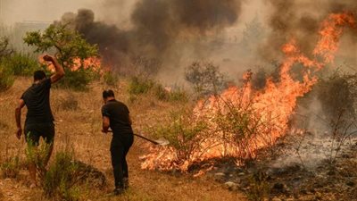 إخلاء محطة للطاقة الحرارية في تركيا بسبب الحرائق