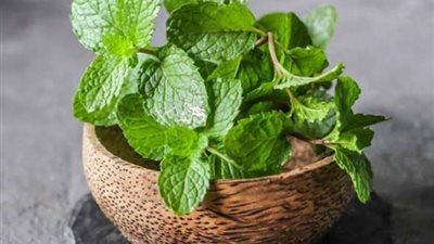 النعناع.. الحل السحري لنضارة البشرة في الصيف