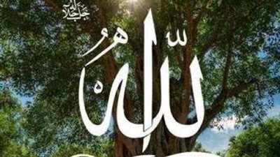 ماهي السورة التي تشفع للمسلم  ويغفرله؟