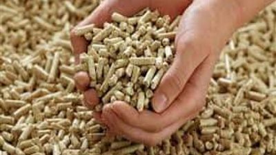 بكام النهاردة .. ننشر أسعار الأعلاف اليوم الأربعاء 10 يوليو 2024