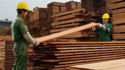 وصلت كام .. تعرف على أسعار الخشب اليوم الأربعاء 10 يوليو 2024 بأنواعه المختلفة