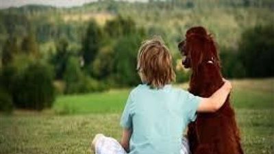 علاقة الصداقة بين الكلب والبشر.. دراسة توضح