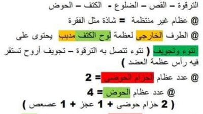 الثانوية العامة 2024.. توقعات هامة لن يخرج عنها امتحان الأحياء