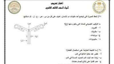الثانوية العامة 2024.. نماذج امتحان الأحياء العام الماضي