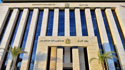 قرار عاجل من وزير العمل ضد شركات وصفحات النصب على المواطنين بوظائف ومنح وهمية
