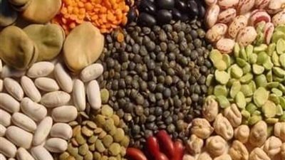 أسعار البقوليات في الأسواق اليوم الأربعاء 10 يوليو 2024