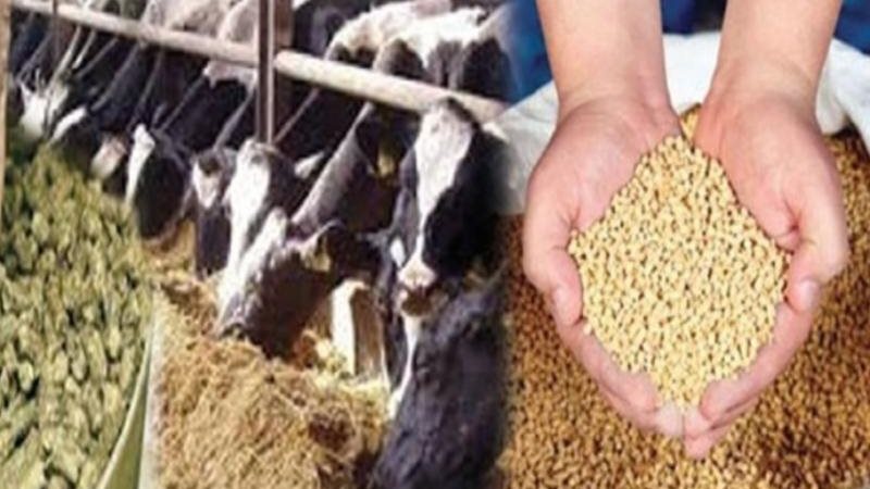 اسعار الأعلاف والخامات