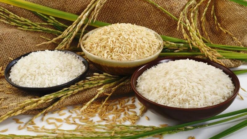 سعر طن الأرز الشعير