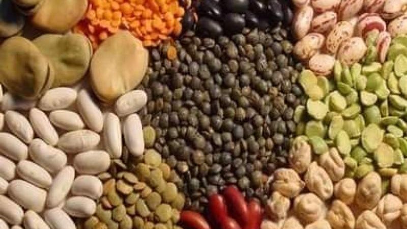 اسعار البقوليات