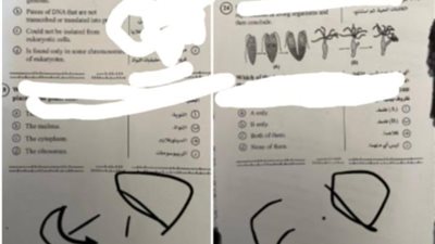 بالإجابات والأسئلة.. تداول امتحان الأحياء لطلاب الثانوية العامة 2024