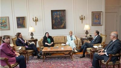 مصر تُطالب بضرورة انسحاب إسرائيل من مدينة رفح