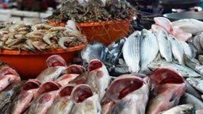 تراجع ملحوظ في أسعار السمك اليوم