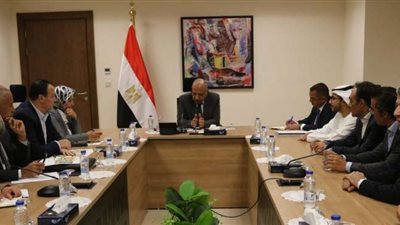 خطة «الكهرباء» لتنفيذ مشروعات الطاقة المتجددة في بنبان وخليج السويس