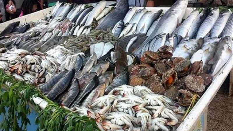 أسعار الأسماك اليوم