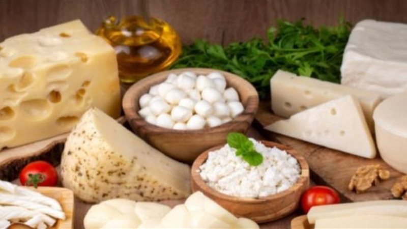 اسعار الألبان ومنتجاتها