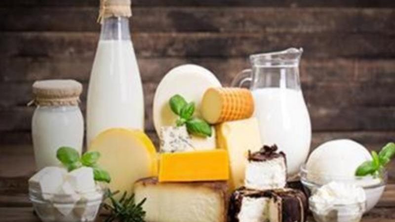 اسعار الألبان ومنتجاتها