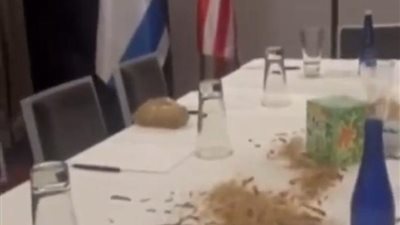 الحشرات تغزو فندق نتنياهو.. ومحتجون يعلنون مسؤوليتهم «فيديو»