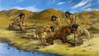 دراسة توضح أطعمة من النباتات البرية قبل الزراعة