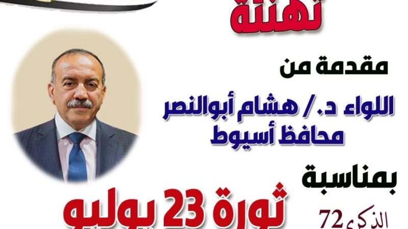 هشام أبو النصر