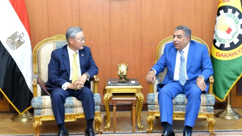 محافظ الدقهلية وسفير