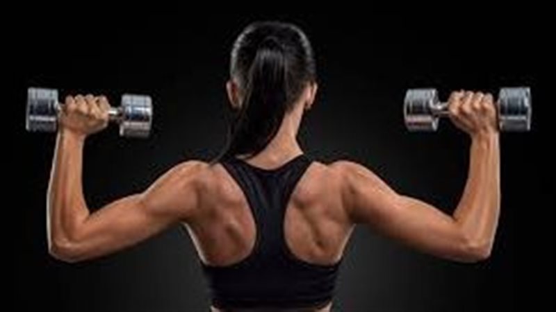 بناء العضلات