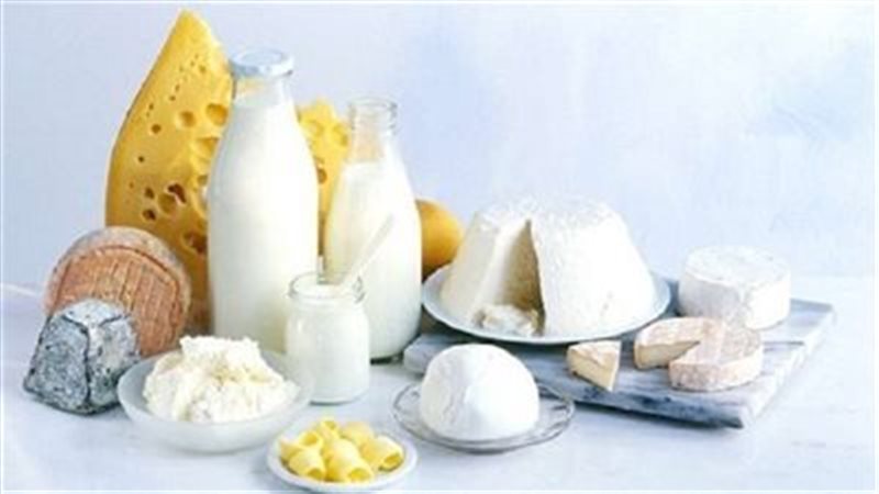 اسعار الألبان ومنتجاتها