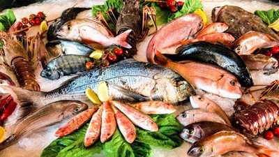 الآن أسعار السمك البلطي والجمبري اليوم الأربعاء 14-8-2024 في مصر 