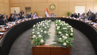 مشروع الربط المصري السعودي.. أولى أولويات عمل وزارة الكهرباء