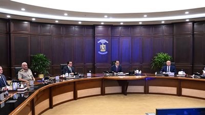 أبرزها تعويض متضرري القطار السريع.. 5 قرارات هامة أصدرها مجلس الوزراء اليوم