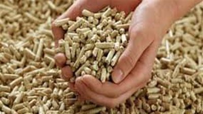 الطن بكام ؟ سعر العلف اليوم الخميس 1 أغسطس 2024 في الأسواق 