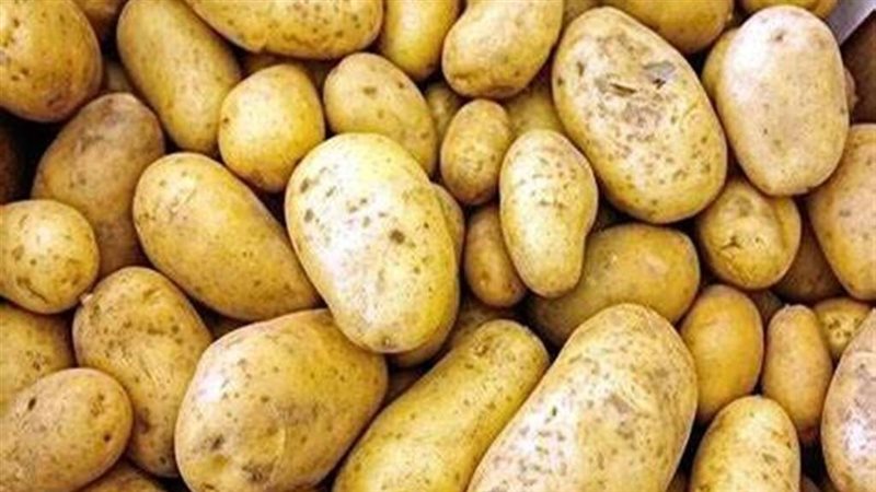 أسعار البطاطس اليوم
