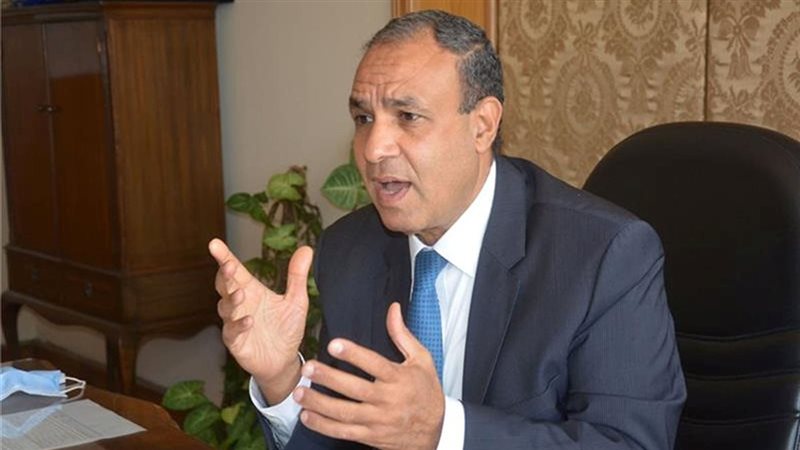 السفير بدر عبد العاطي