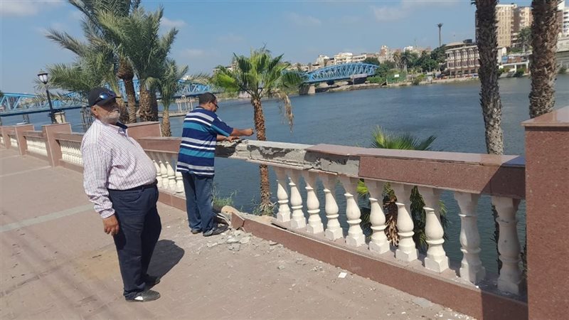 حادث الدقهلية