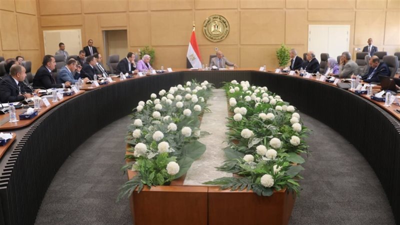 مشروع الربط المصري