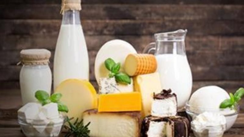 اسعار الألبان ومنتجاتها