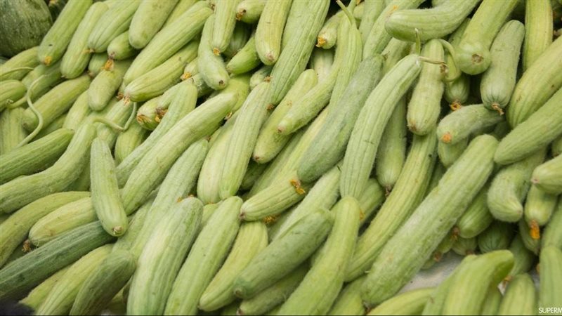 فوائد القتة