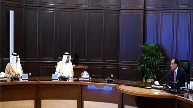 لقاء رئيس الوزراء