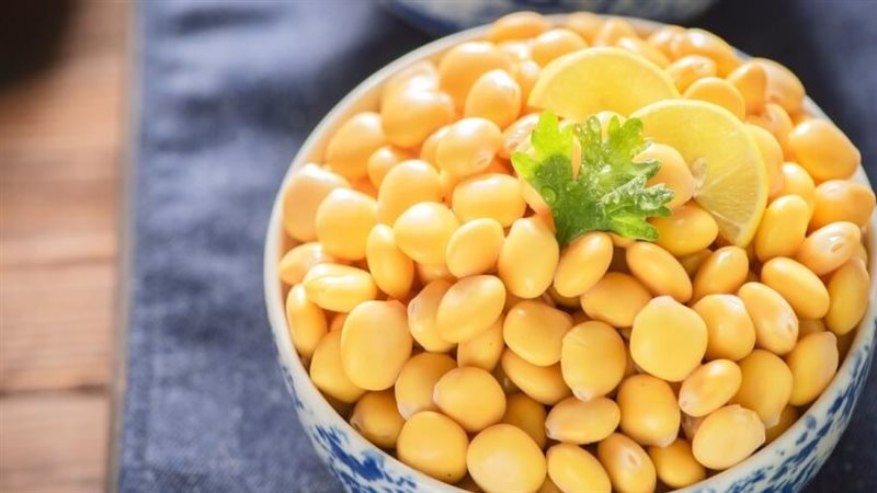 فوائد الترمس 