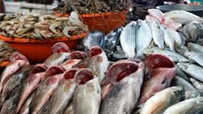 تعرف على أسعار السمك والجمبري اليوم الأربعاء 1-1-2025 فى سوق العبور