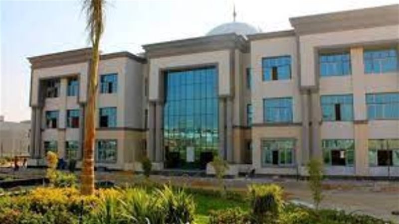 جامعة جنوب الوادي
