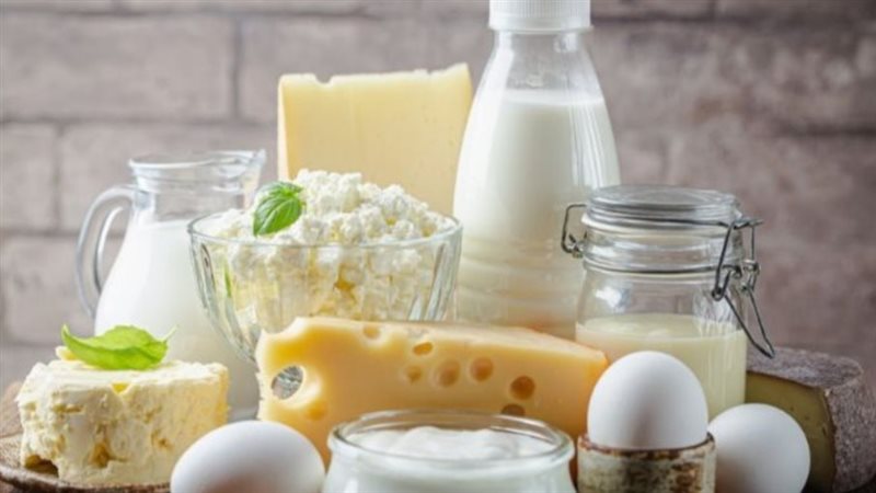 اسعار الألبان ومنتجاتها