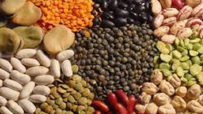 اسعار البقوليات اليوم