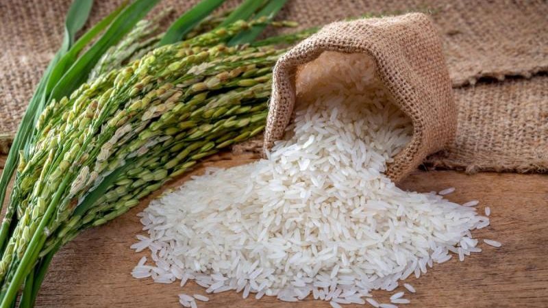 سعر الأرز اليوم