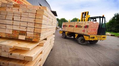 أسعار الأخشاب بمختلف أنواعه اليوم الإثنين 12 أغسطس 2024 في مصر