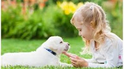 كيف تتعامل مع الحيوانات الأليفة في الصيف؟.. بهذه الطريقة 