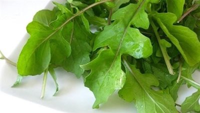 يقي من الشيخوخة ويقلل مستوى السكر.. فوائد لا تعرفها عن الجرجير